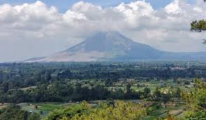 Gambar 3